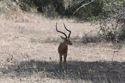 DSC_3525 (Large).JPG